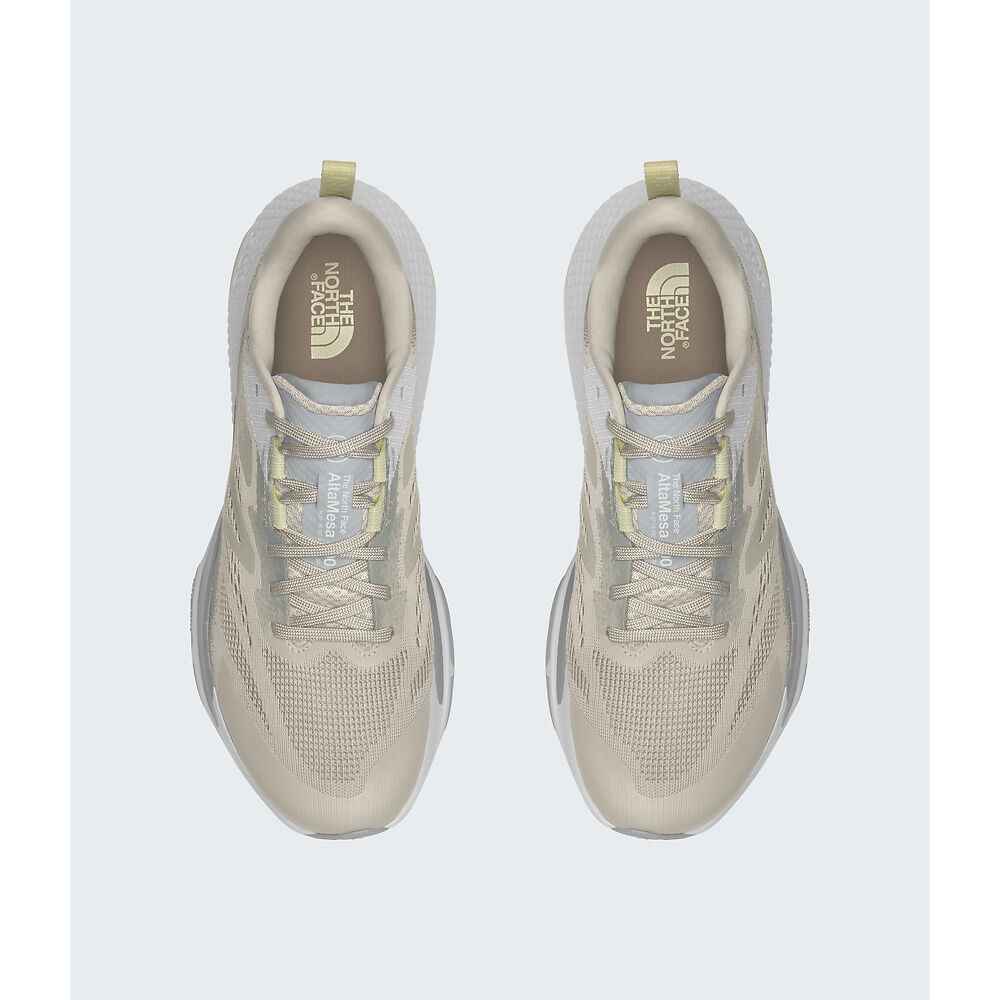 The North Face Altamesa 500 Shoes (Men's)