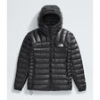 The North Face Summit Series Breithorn Hoodie (Women's) The North Face