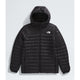 The North Face Terra Peak Hooded Jacket (Men's) The North Face
