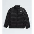 The North Face Terra Peak Jacket (Men's) The North Face