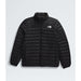 The North Face Terra Peak Jacket (Men's) The North Face