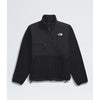 The North Face Retro Denali Fleece Jacket (Men's) The North Face