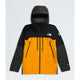 The North Face Summit Series Mountain GORE-TEX Pro Jacket (Men's) The North Face