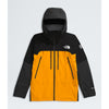 The North Face Summit Series Mountain GORE-TEX Pro Jacket (Men's) The North Face