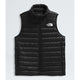 The North Face Terra Peak Vest (Women's) The North Face