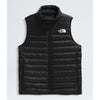 The North Face Terra Peak Vest (Women's) The North Face