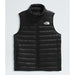 The North Face Terra Peak Vest (Women's) The North Face