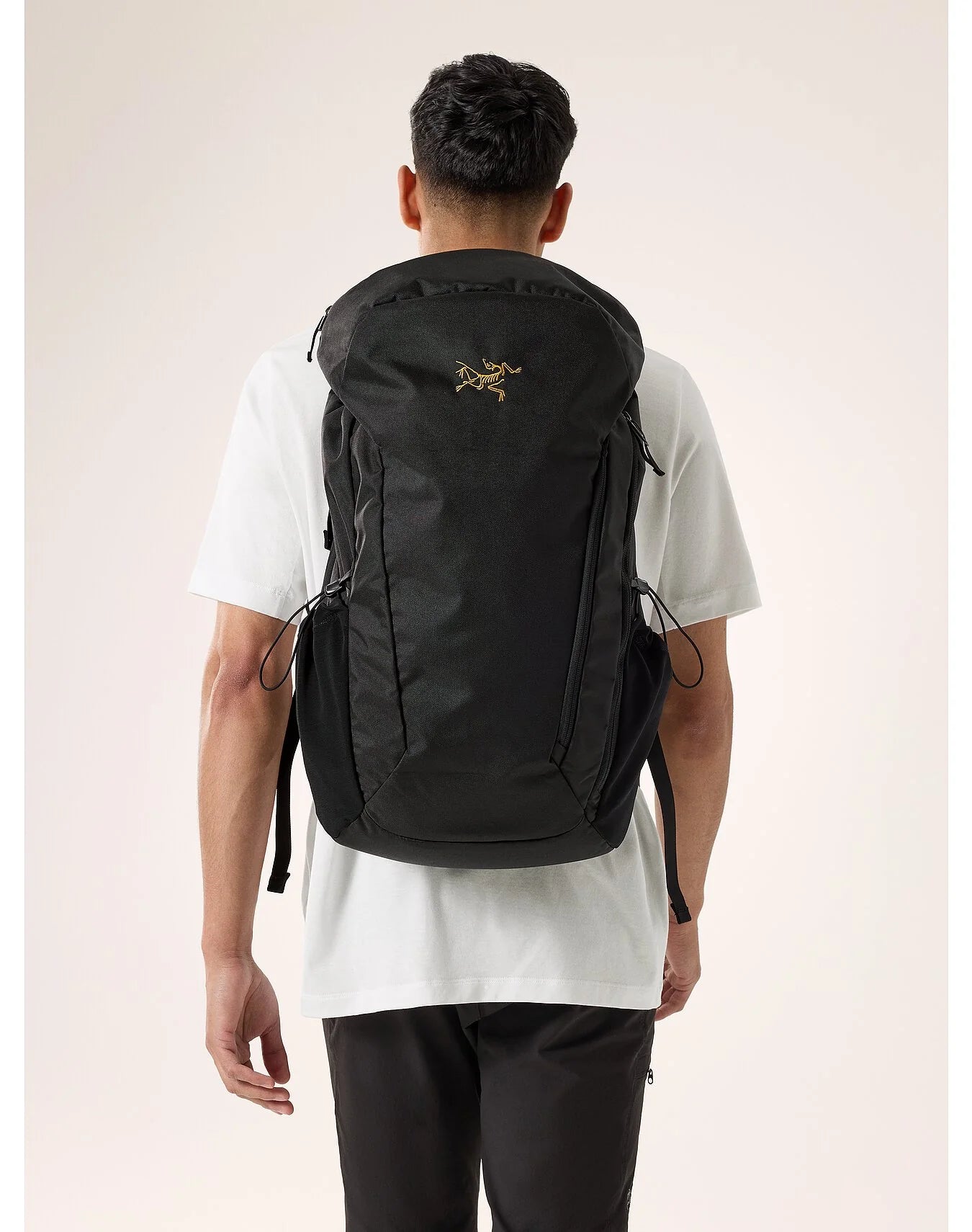 Arcteryx Mantis 30 Backpack Black