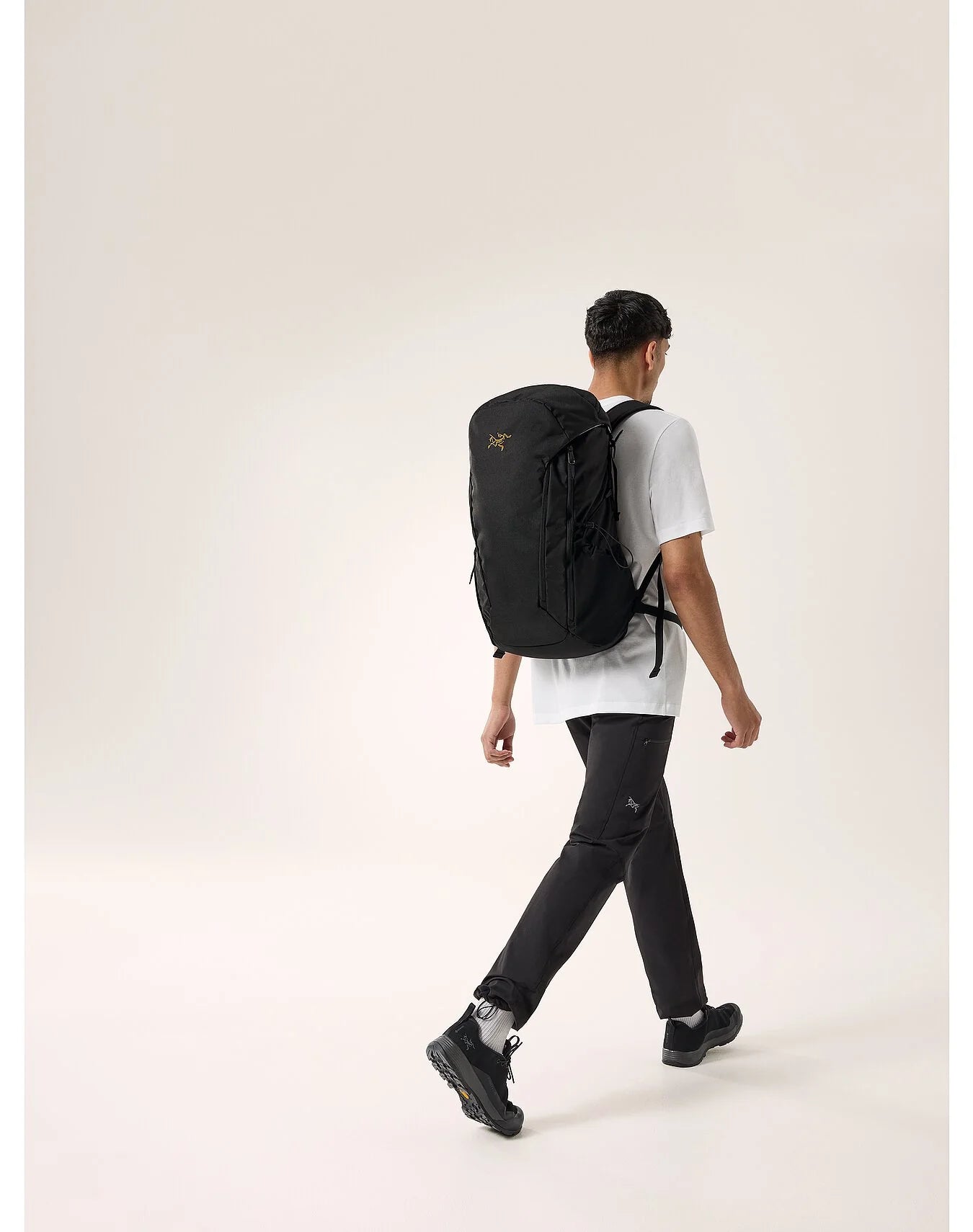 Arcteryx Mantis 30 Backpack Black