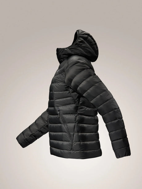 Arc'teryx Cerium Hoody (Women's) Arcteryx