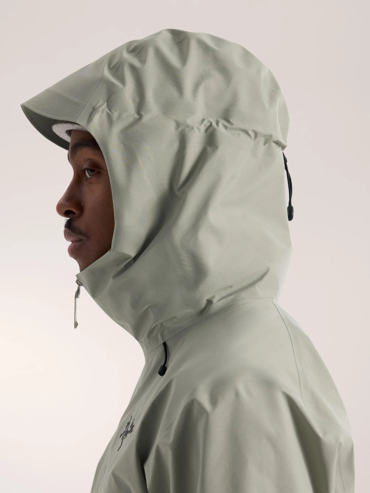 Arc'teryx Beta SL GORE-TEX Jacket (Men's) - Habitat/Forage