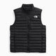 The North Face Terra Peak Vest (Men's) The North Face
