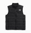 The North Face Terra Peak Vest (Men's) The North Face