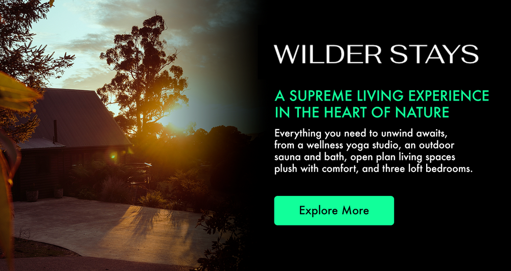 wilder stays x find your feet hobart - group accomadation tasmania, outdoor sport retreat