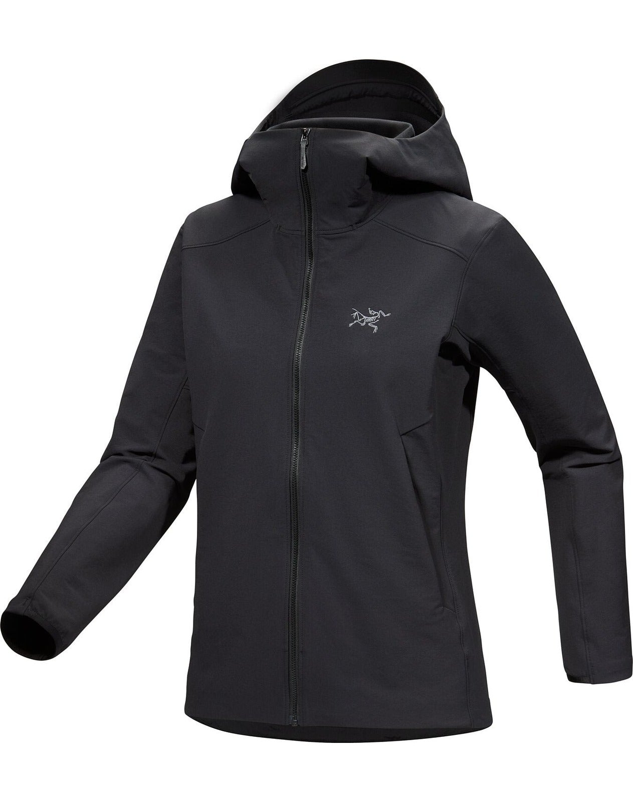 Arcteryx Gamma Hoody (Women's)