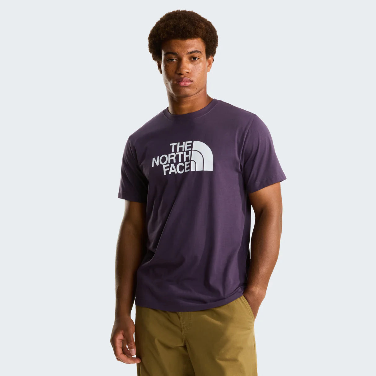 The North Face Evolution Half Dome Short-Sleeve Tee (Men's) - Endless Dusk
