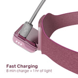 Biolite Range 300 Headlamp - Wild Fig