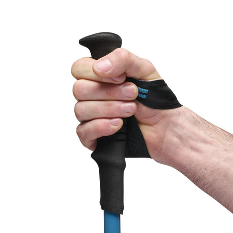 Black Diamond Distance Carbon FLZ Poles Black Diamond