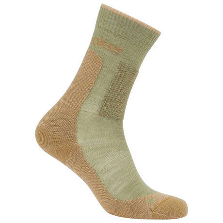 Icebreaker Merino Hike+ Medium Crew Socks (Women's)