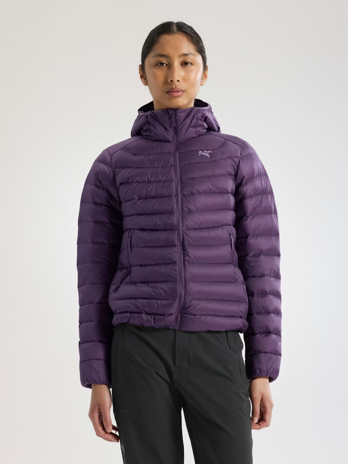 Person wearing a purple puffer jacket on a white background - Arc'teryx Cerium Hoody (Women's) - Moondrop