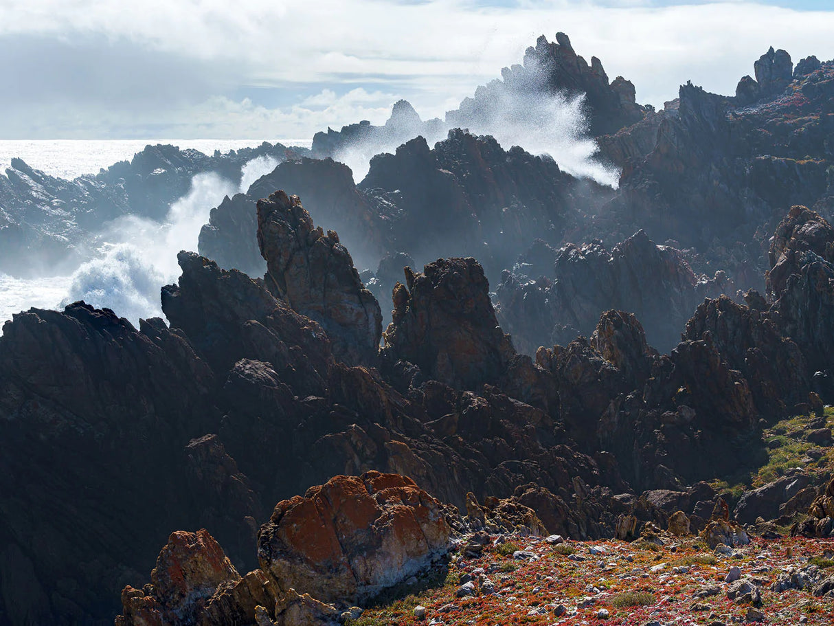 Wild Tasmania 2026 Large Calendar - Grant Dixon/Rob Blakers - December - Find Your Feet Australia Hobart Launceston Tasmania
