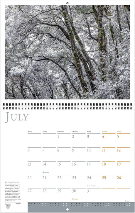 Wild Tasmania 2026 Large Calendar - Grant Dixon/Rob Blakers - Find Your Feet Australia Hobart Launceston Tasmania
