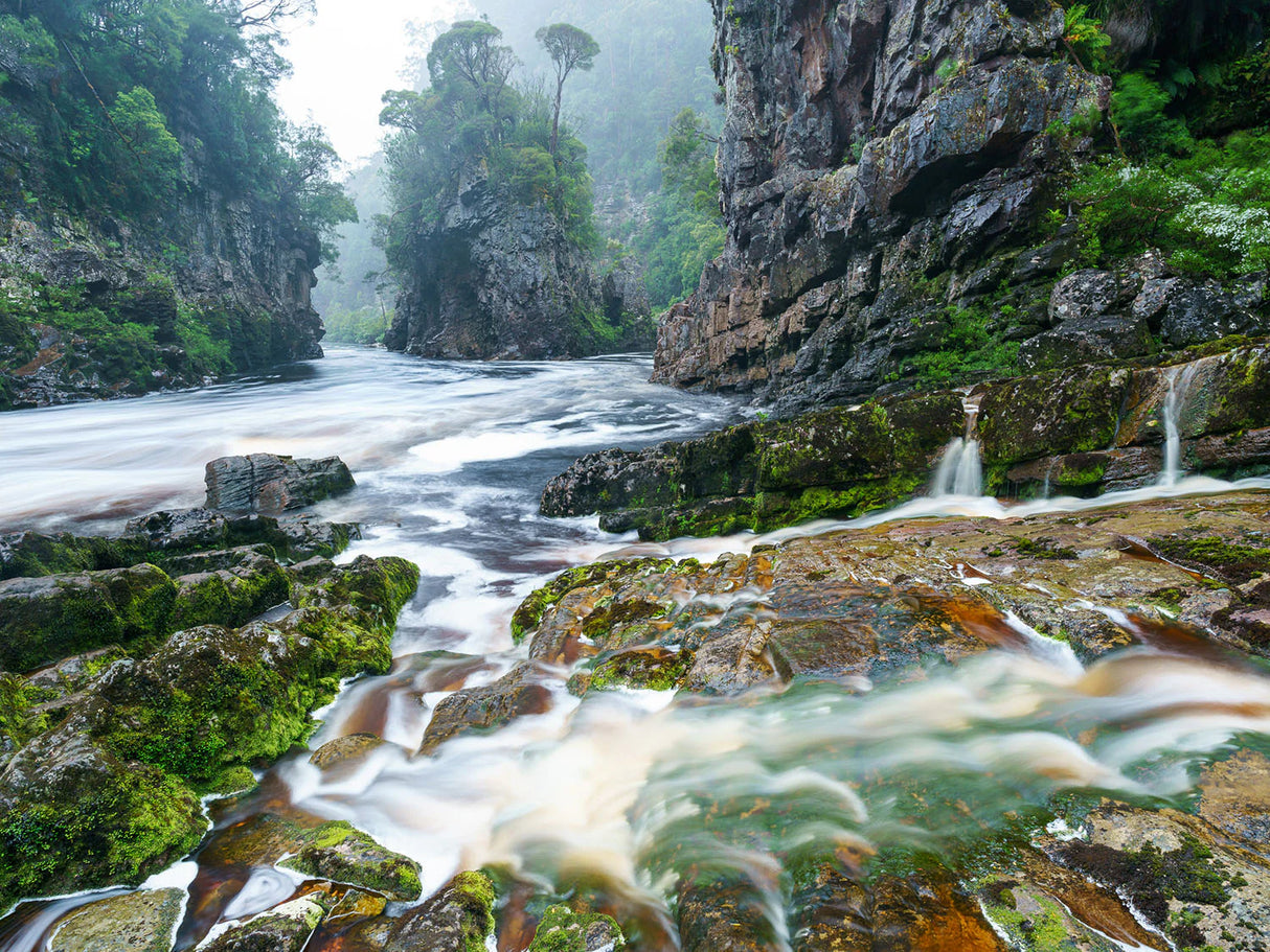 Wild Tasmania 2026 Large Calendar - Grant Dixon/Rob Blakers - February - Find Your Feet Australia Hobart Launceston Tasmania