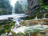 Wild Tasmania 2026 Large Calendar - Grant Dixon/Rob Blakers - February - Find Your Feet Australia Hobart Launceston Tasmania
