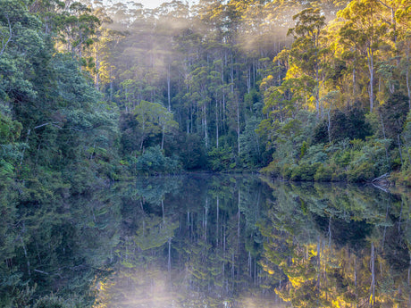 Wild Tasmania 2026 Large Calendar - Grant Dixon/Rob Blakers Rob Blakers/Grant Dixon