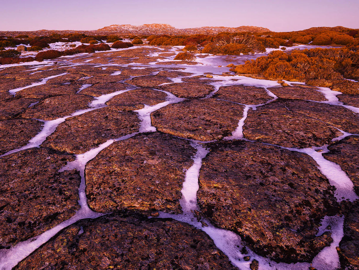 Wild Tasmania 2026 Large Calendar - Grant Dixon/Rob Blakers - June - Find Your Feet Australia Hobart Launceston Tasmania