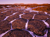 Wild Tasmania 2026 Large Calendar - Grant Dixon/Rob Blakers - June - Find Your Feet Australia Hobart Launceston Tasmania