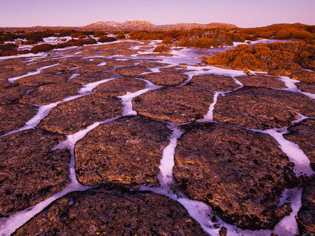 Wild Tasmania 2026 Large Calendar - Grant Dixon/Rob Blakers Rob Blakers/Grant Dixon