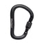 Black Diamond Rocklock Screwgate Carabiner - Black