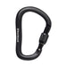 Black Diamond Rocklock Screwgate Carabiner - Black