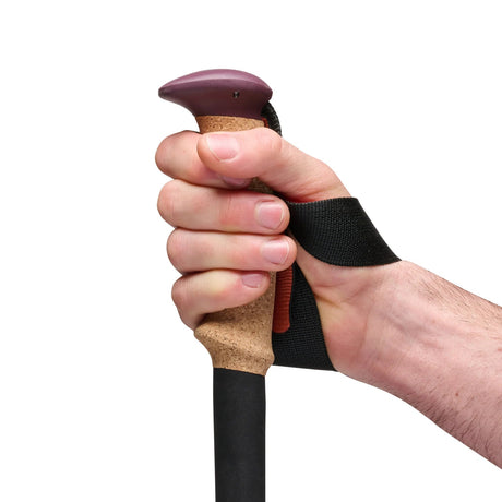 Black Diamond Trail Cork Trekking Poles Black Diamond