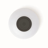 Biolite AlpenGlow Mini Lantern - Charcoal - Find Your Feet Australia Hobart Launceston Tasmania