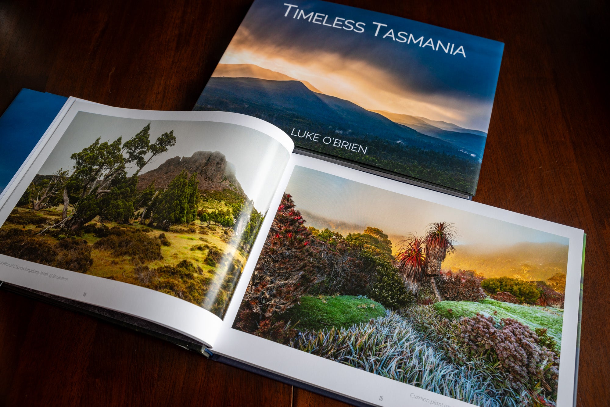 Timeless Tasmania - Luke O'Brien (Hardcover)