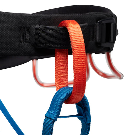 Black Diamond Momentum Harness (Men's) - Kingfisher