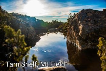 CPls04 Tarn Mt Field - Camhanaich Photography - Find Your Feet Australia Hobart Launceston Tasmania