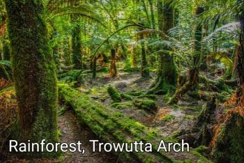CPls08 Truwatta Arch Rainforest - Camhanaich Photography - Find Your Feet Australia Hobart Launceston Tasmania