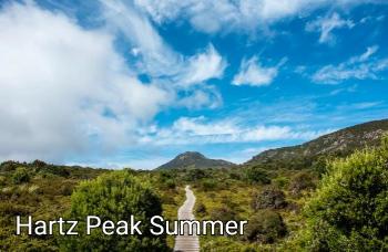 CPls13 Hartz Peak Landscape Summer - Camhanaich Photography - Find Your Feet Australia Hobart Launceston Tasmania
