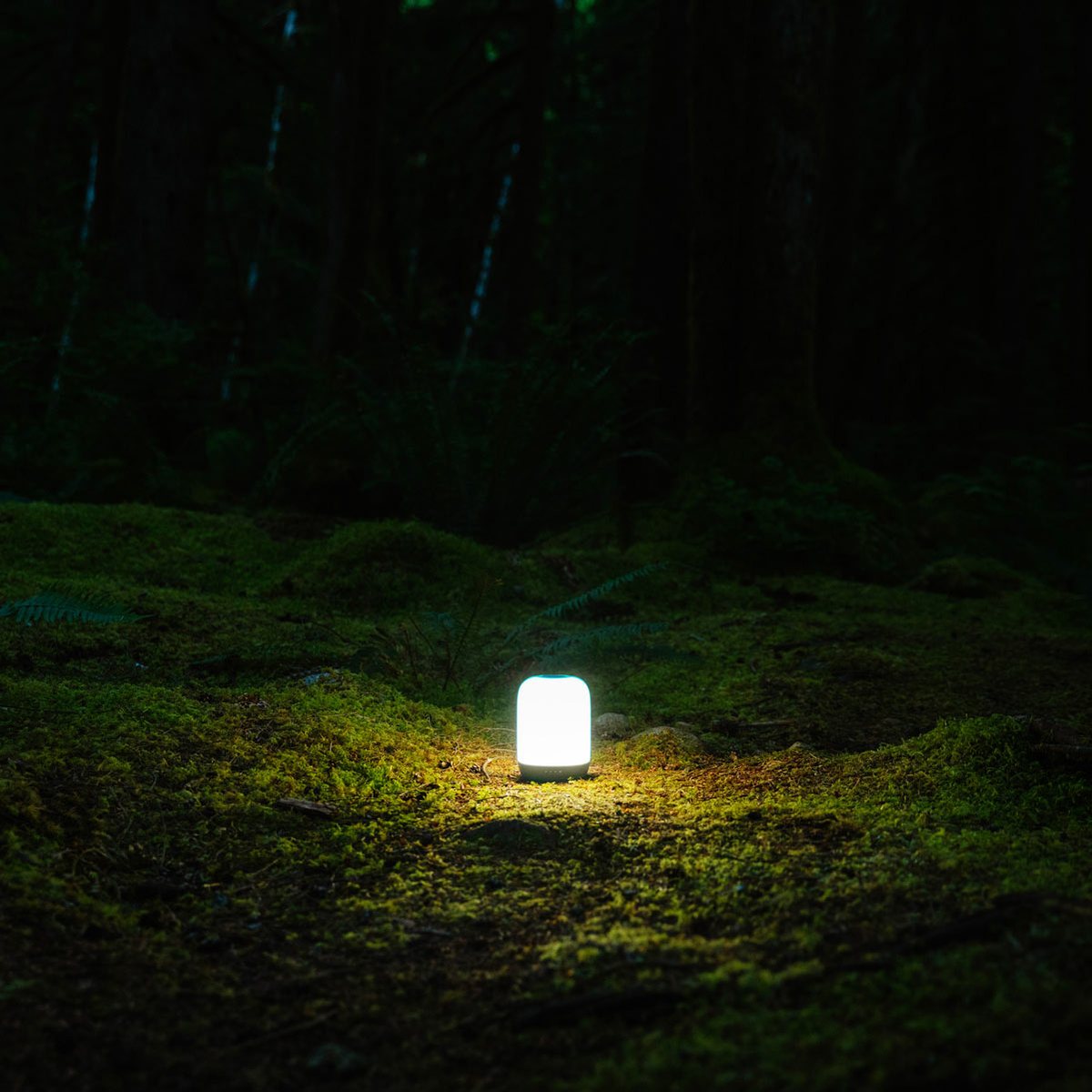 Biolite AlpenGlow 500 Lantern - Find Your Feet Australia Hobart Launceston Tasmania