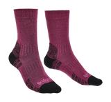 Bridgedale Hike LW Performance Socks (Women's) Bridgedale