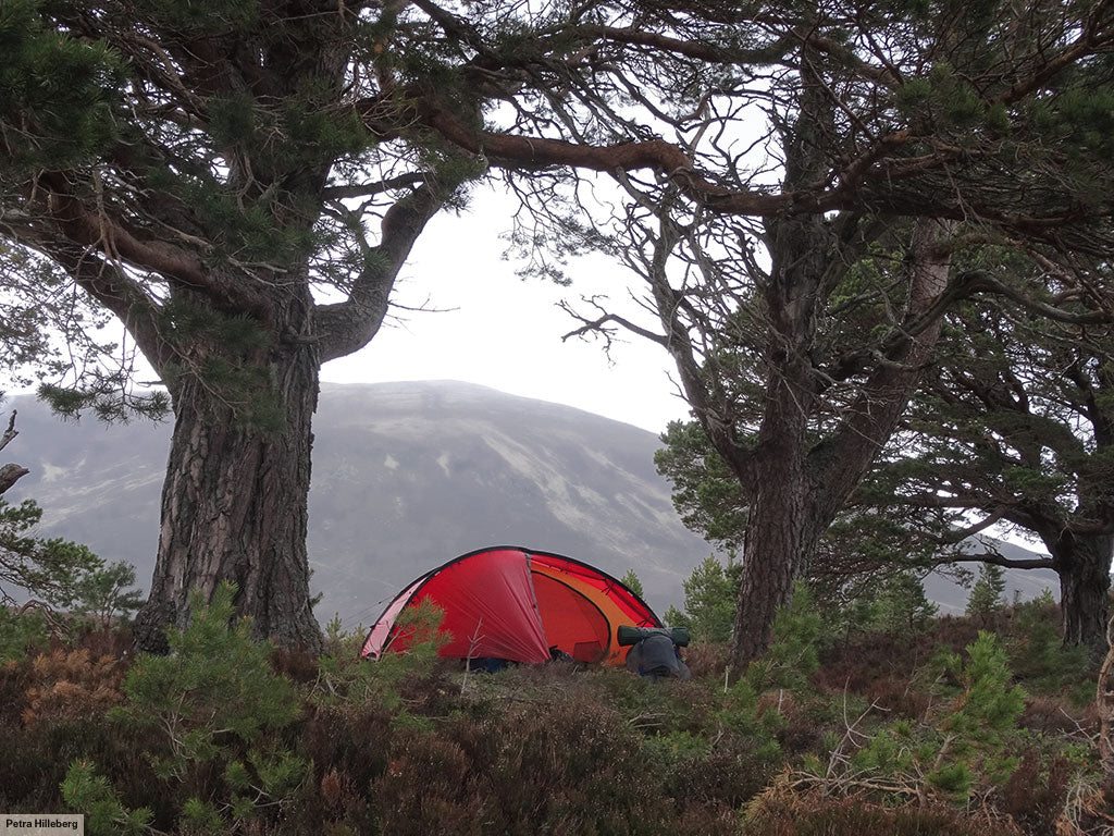 Hilleberg Niak Lightweight Hiking Tent - Find Your Feet Australia Hobart Launceston Tasmania