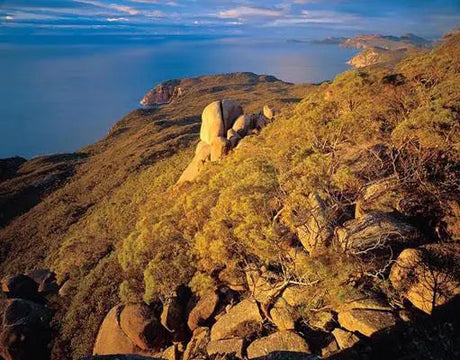 Rob Blakers Freycinet (Hardcover)