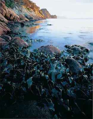 Rob Blakers Freycinet (Hardcover)