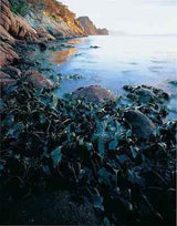 Rob Blakers Freycinet (Hardcover)