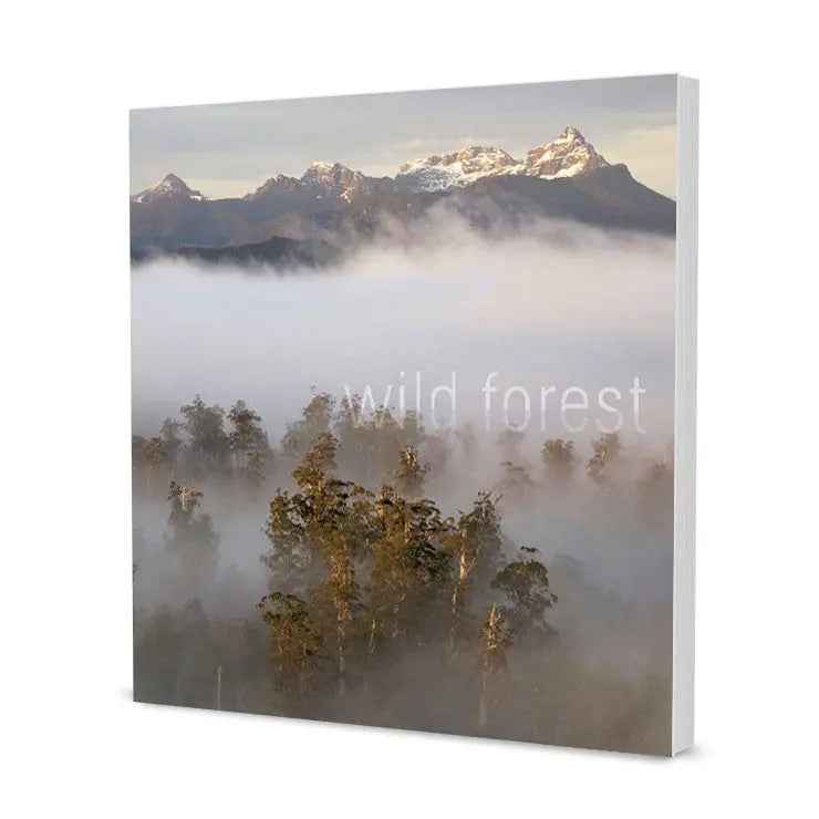 Rob Blakers Wild Forest (Paperback)