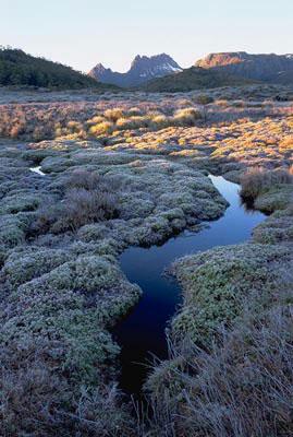 Rob Blakers Cradle (Book) - Find Your Feet Australia Hobart Launceston Tasmania