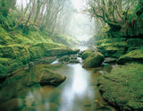 Rob Blakers Cradle (Book) - Find Your Feet Australia Hobart Launceston Tasmania